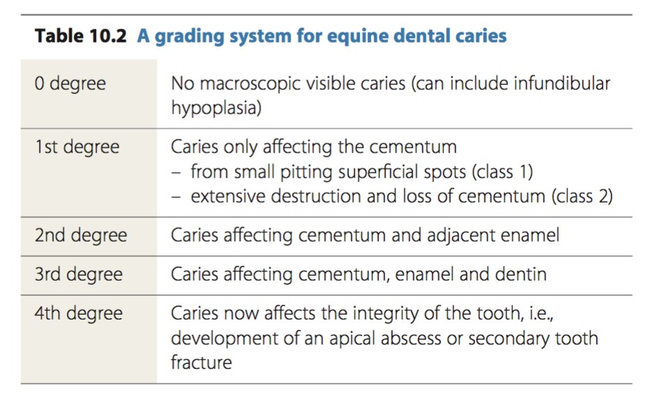 dental-examination-chart-pdf-keski